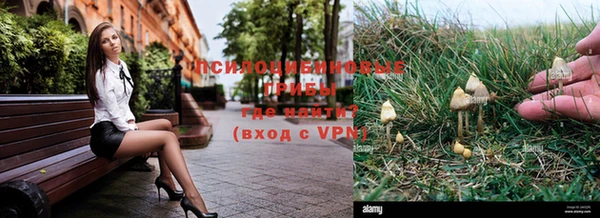 ALPHA PVP Бронницы