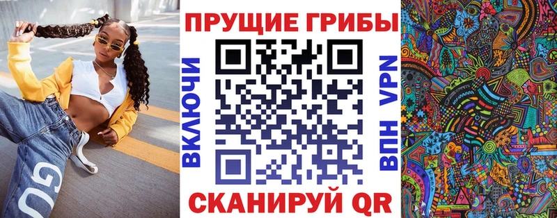 Купить  Бородино  Псилоцибиновые грибы Magic Shrooms 